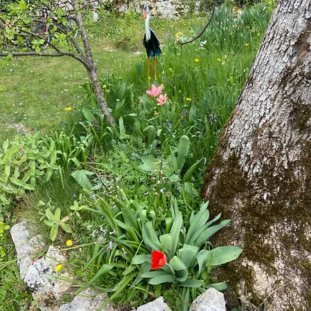 Vakantiehuis Le Dolmen, Charme Sport Et Detente Saint-Chels