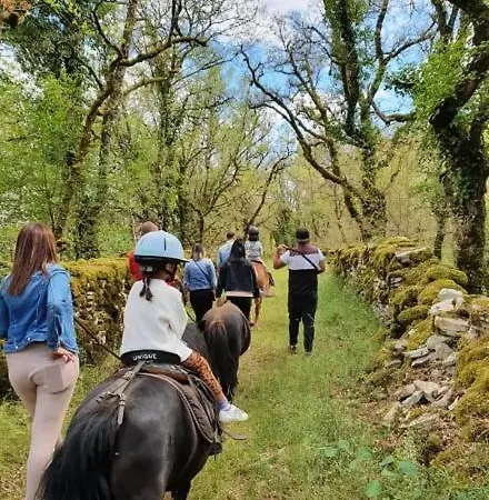 Le Dolmen, Charme Sport Et Detente Vakantiehuis *