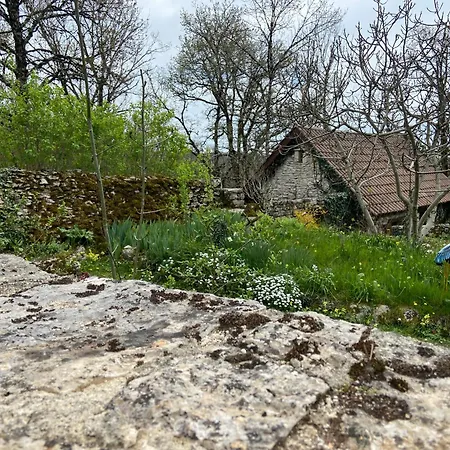 Le Dolmen, Charme Sport Et Detente 펜션