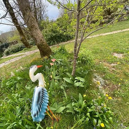 Le Dolmen, Charme Sport Et Detente * Saint-Chels