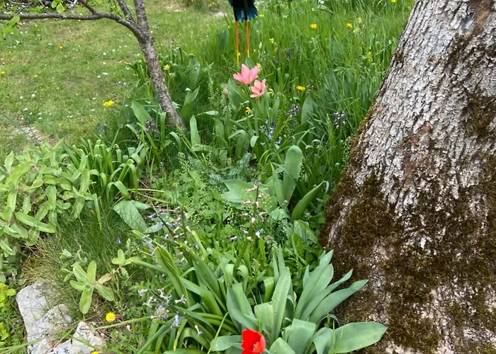 Holiday home Le Dolmen, Charme Sport Et Detente Saint-Chels